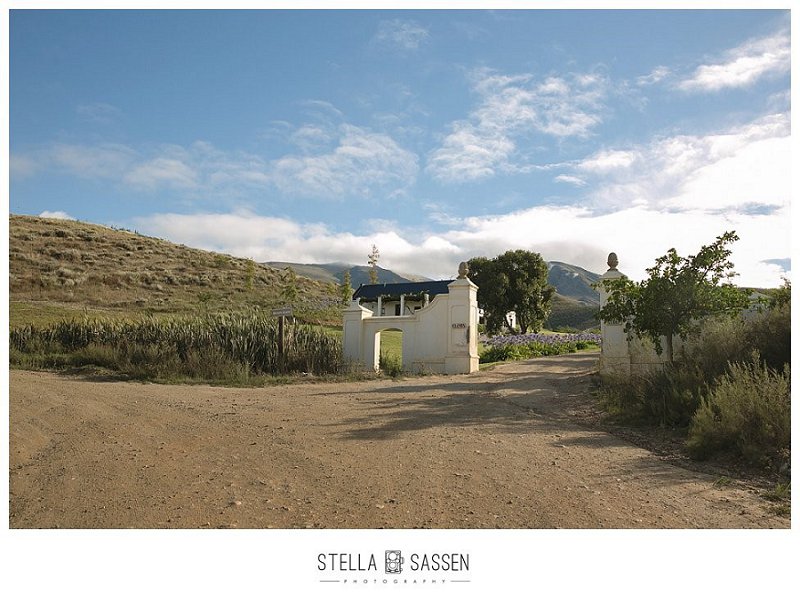 20170412 kim david wedding 01