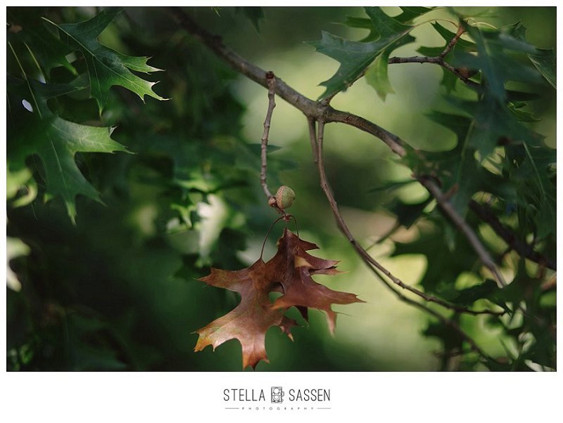 20170412 kim david wedding 51