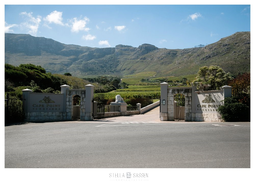 0002cape pont vineyards same sex wedding