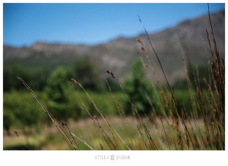la petit dauphine wedding photographer 02