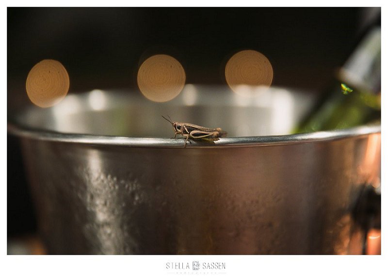 0135 cape town top wedding photographer