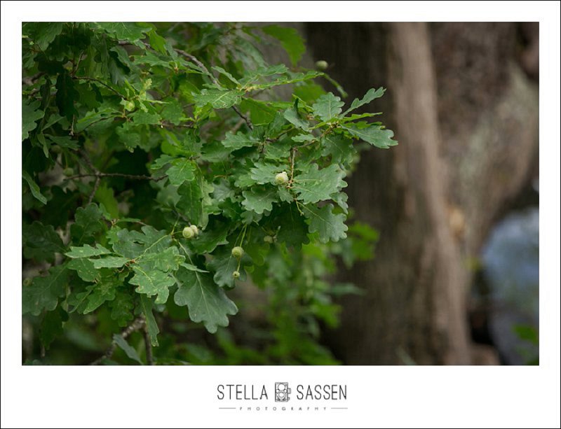 0041 cape town wedding photographers