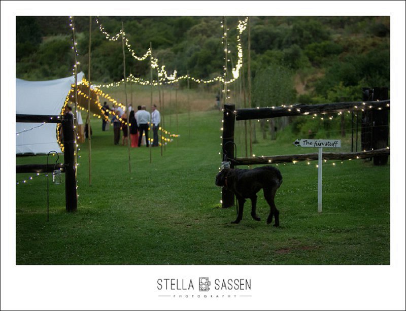 0111 cape town wedding photographers