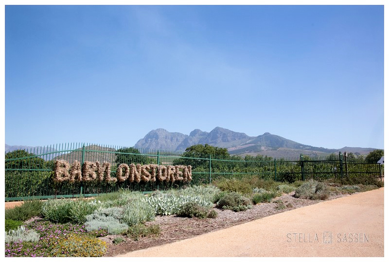 0001 wedding photographers cape town