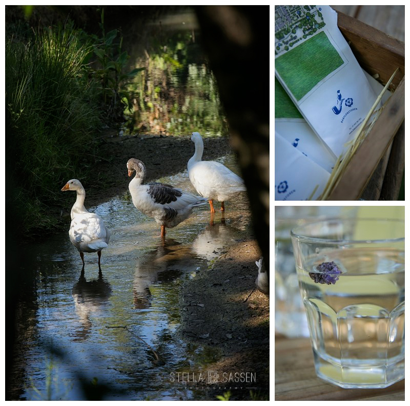 0002 wedding photographers cape town