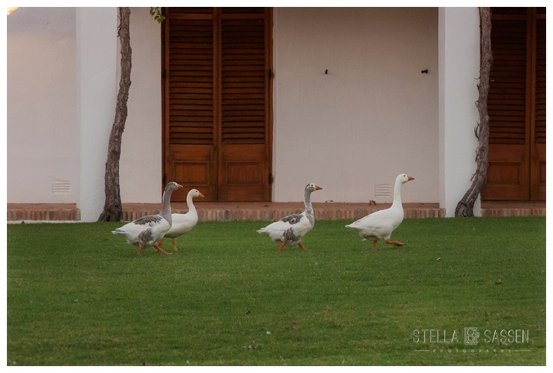 0074 wedding photography cape town