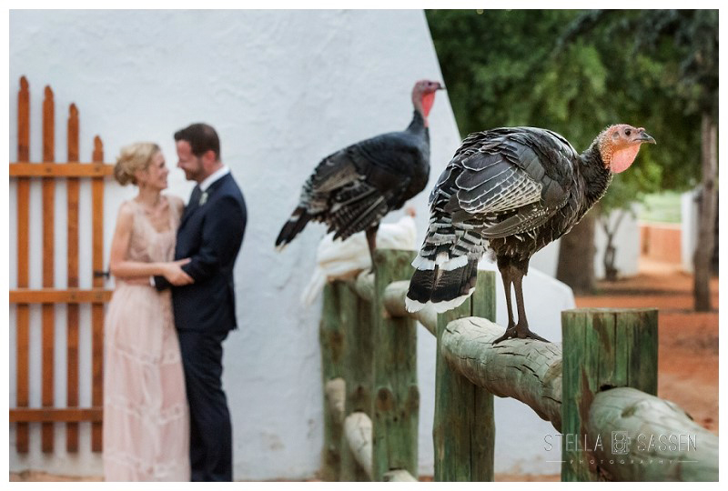 0086 wedding photographers cape town