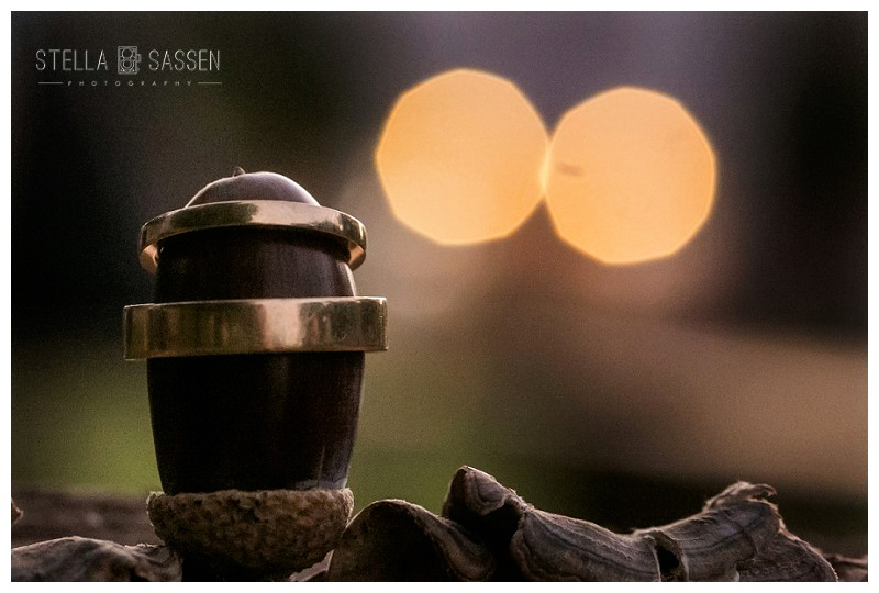 0088 wedding photographers cape town