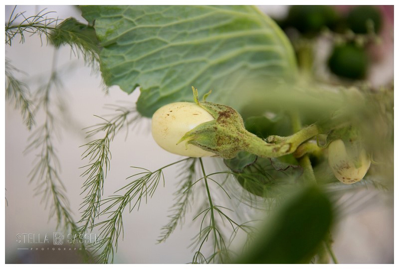 0097 wedding photographers cape town