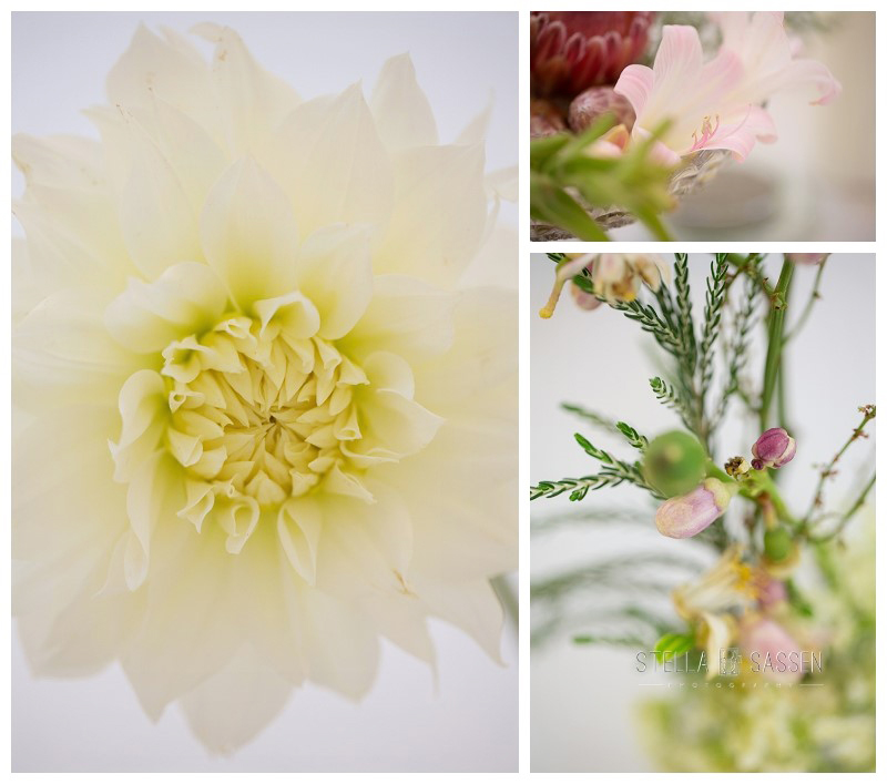 0098 wedding photographers cape town