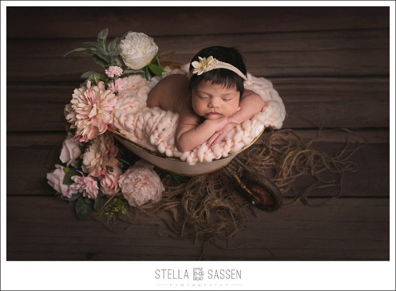 20220602 hanaan newborn 7