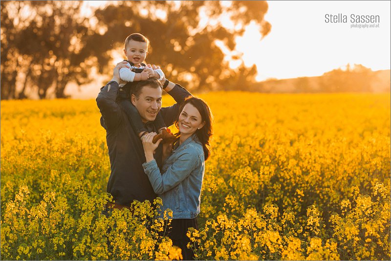 20230909 jana canola 09