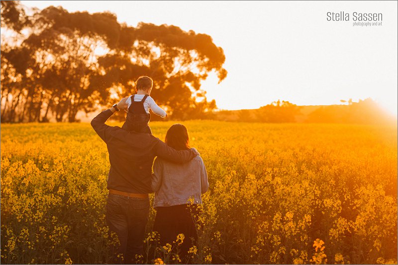 20230909 jana canola 16