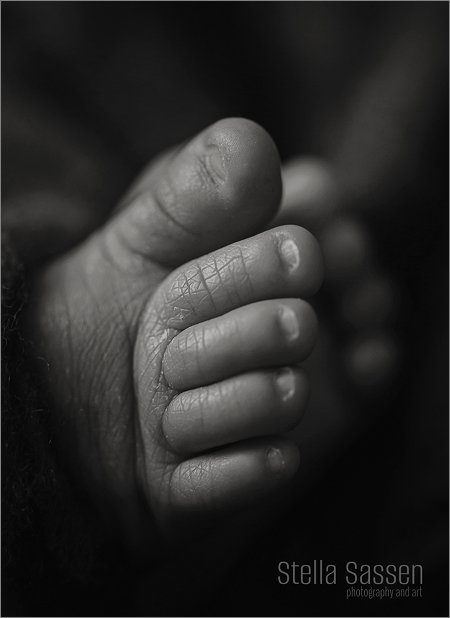 20231202 cenuska newborn 06