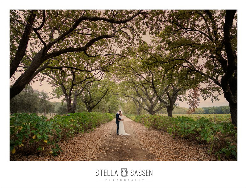 0071 wedding photographers cape town