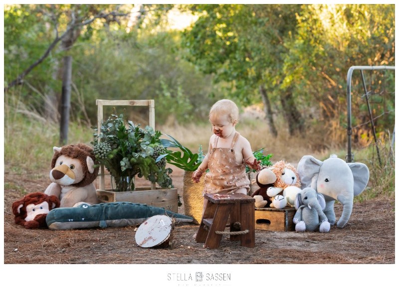 20240311 b cake smash 06