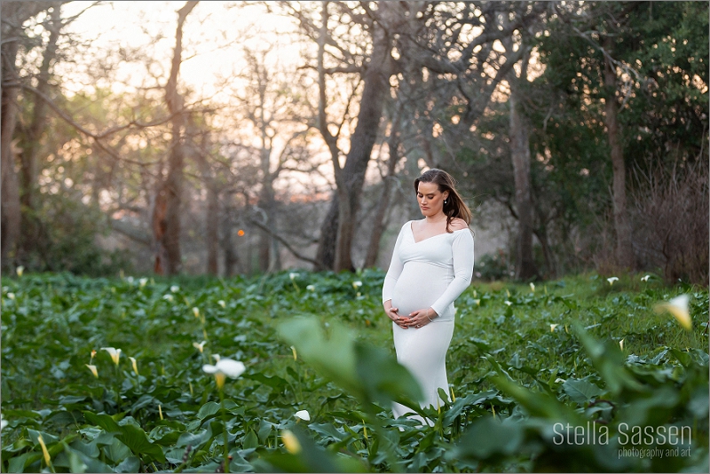 maternity photo shoot of mom in field with flowers at sunset Cape Town