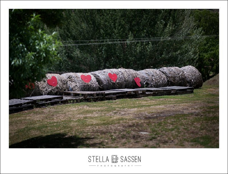 cape town farm wedding photos 007