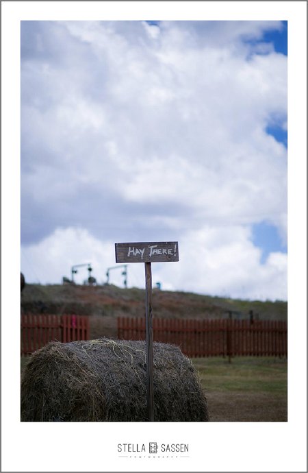 cape town farm wedding photos 008