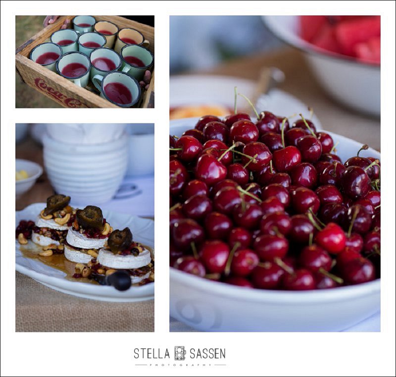 cape town farm wedding photos 053