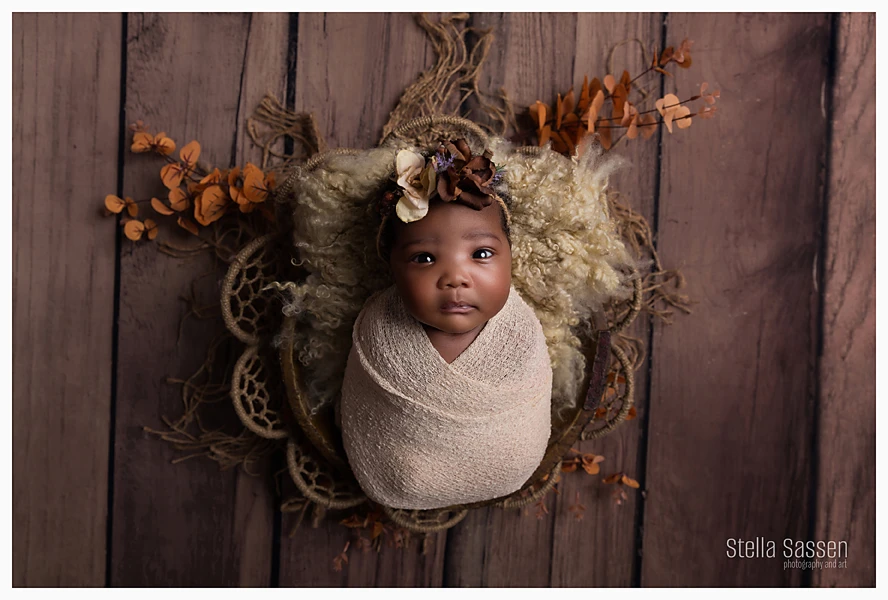 20250203 newborn photographer cape town 2