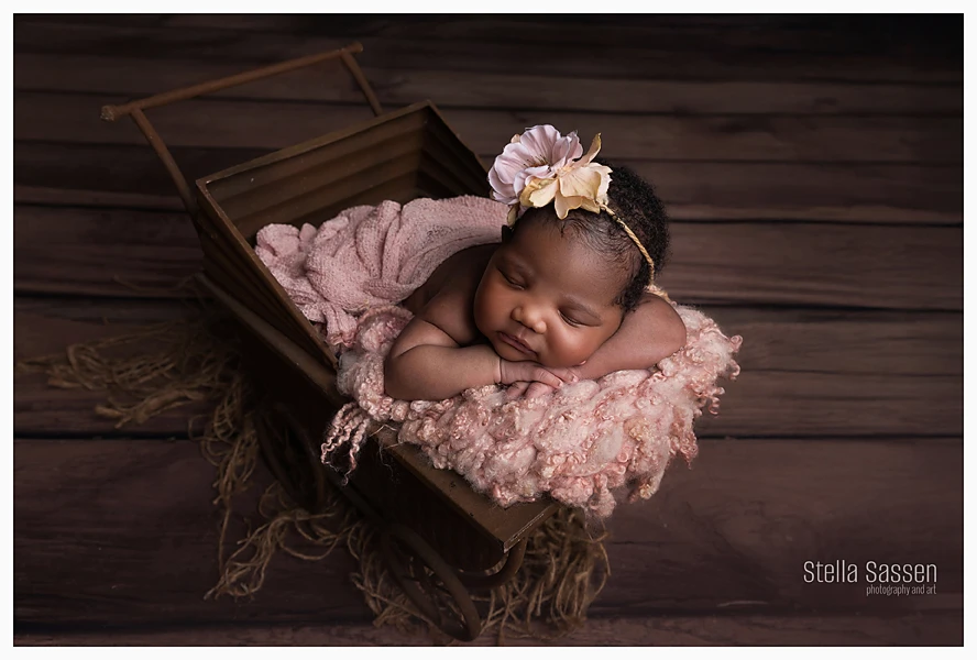 20250203 newborn photographer cape town 3