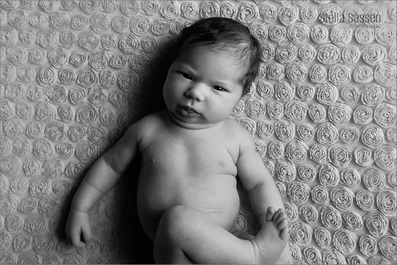 best newborn photographer cape town 15