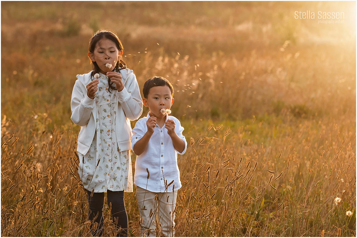 cape town family winelands photographer 10