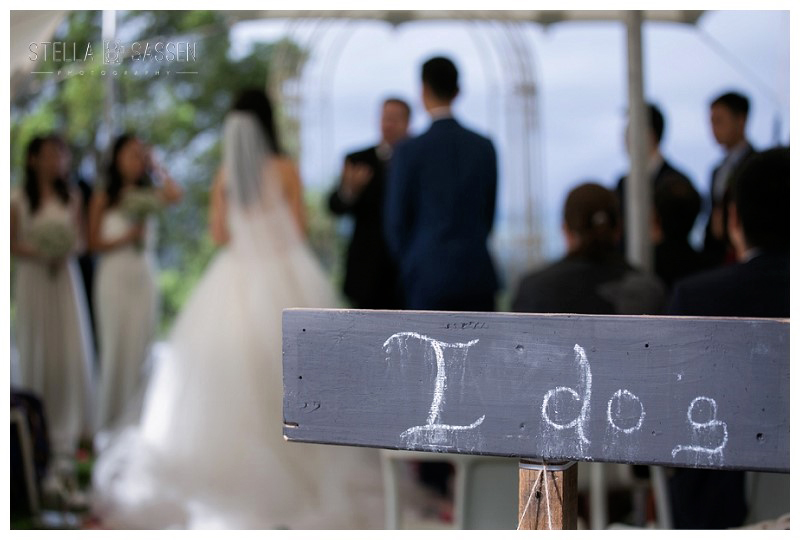 cape winelands franschhoek wedding photographer 46