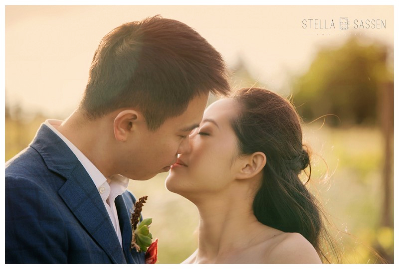 cape winelands franschhoek wedding photographer 66