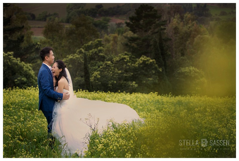 cape winelands franschhoek wedding photographer 67