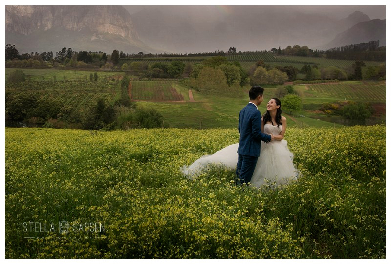 cape winelands franschhoek wedding photographer 68