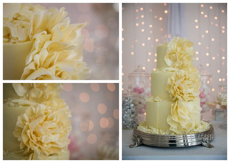 cape winelands franschhoek wedding photographer 76