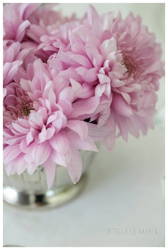 cape winelands franschhoek wedding photographer 79