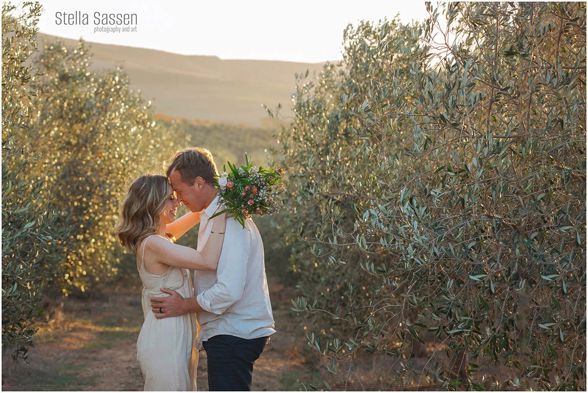 cape winelands winefarm photographer 01