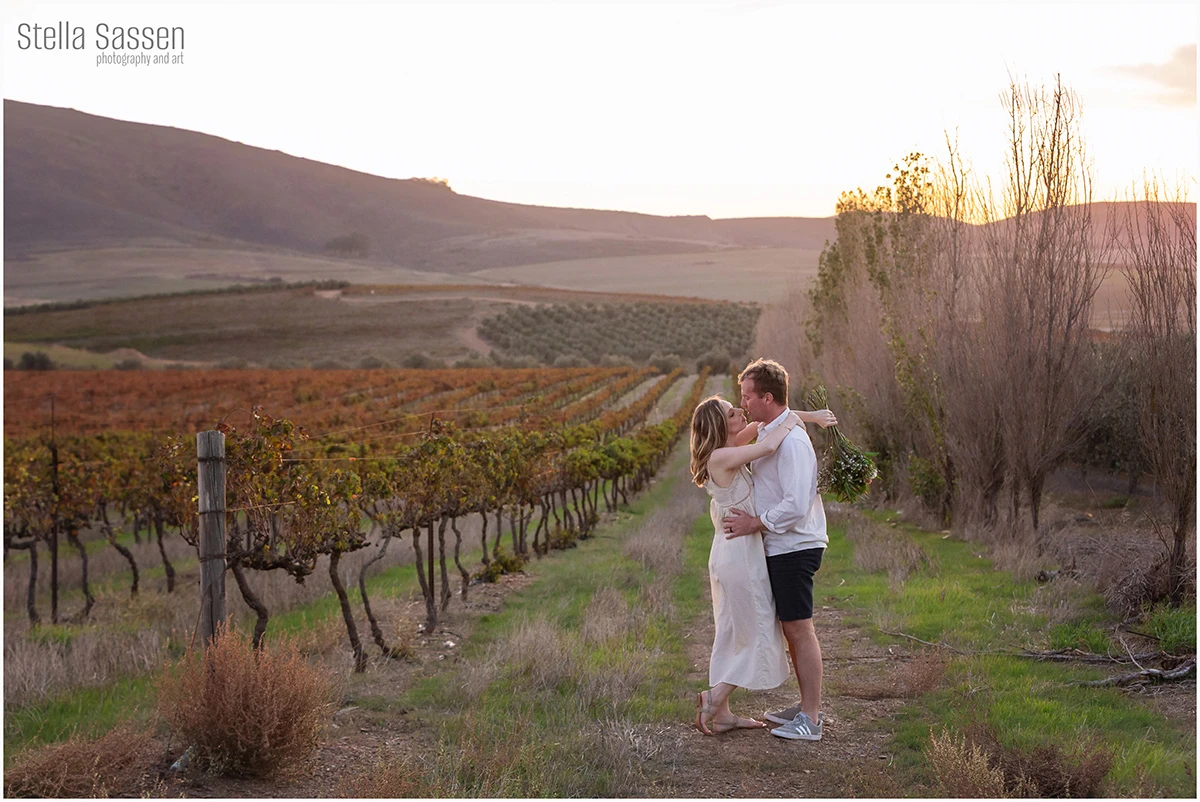 cape winelands winefarm photographer 23